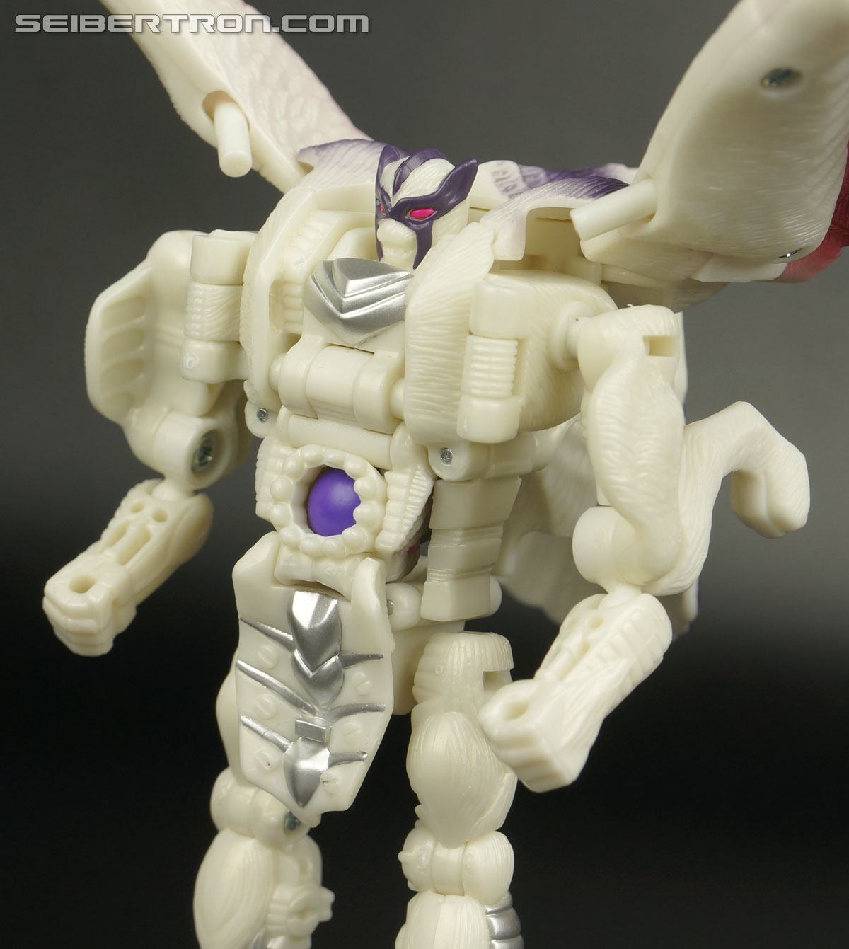 Transformers BotCon Exclusives Windrazor (Image #102 of 137)