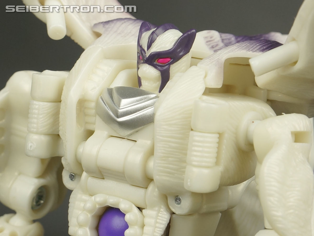 Transformers BotCon Exclusives Windrazor (Image #103 of 137)