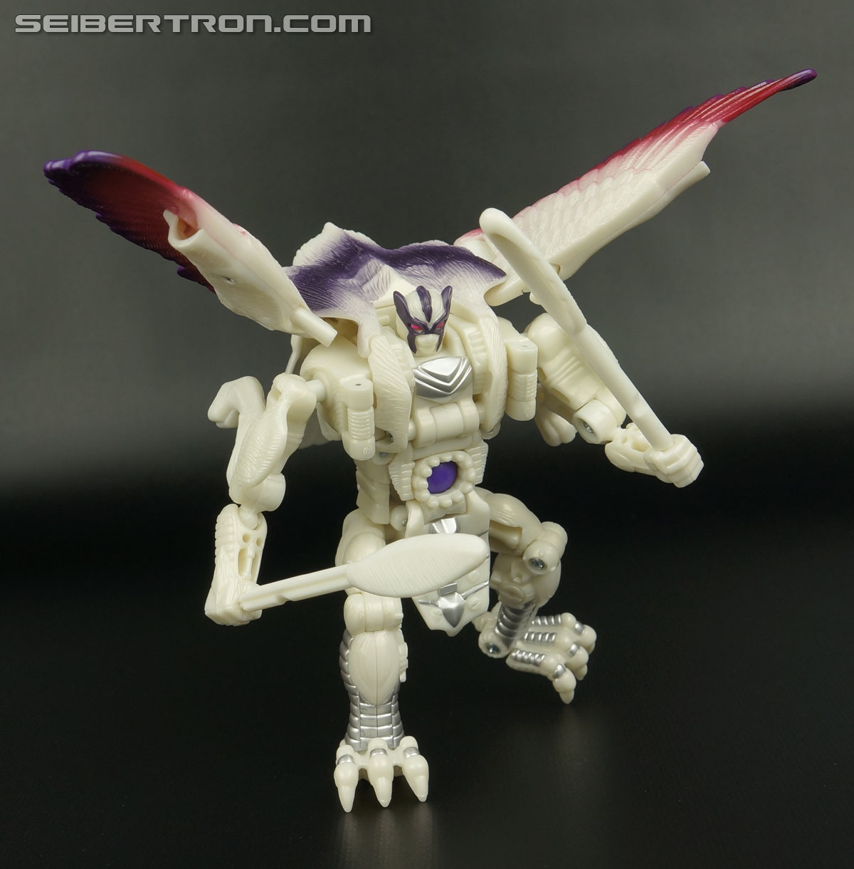 Transformers BotCon Exclusives Windrazor (Image #110 of 137)