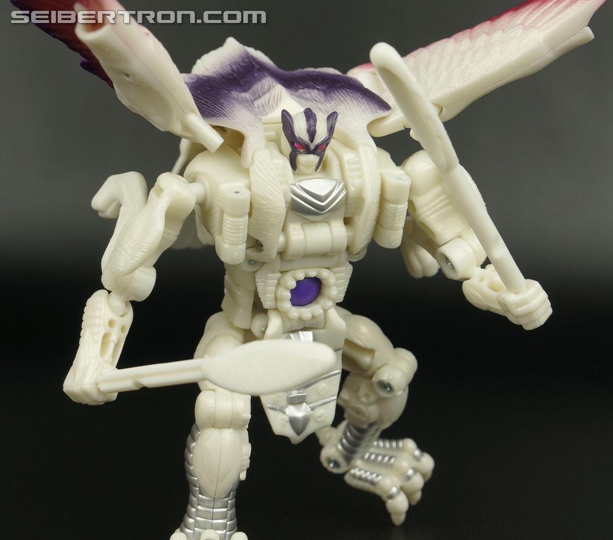 Transformers BotCon Exclusives Windrazor (Image #111 of 137)