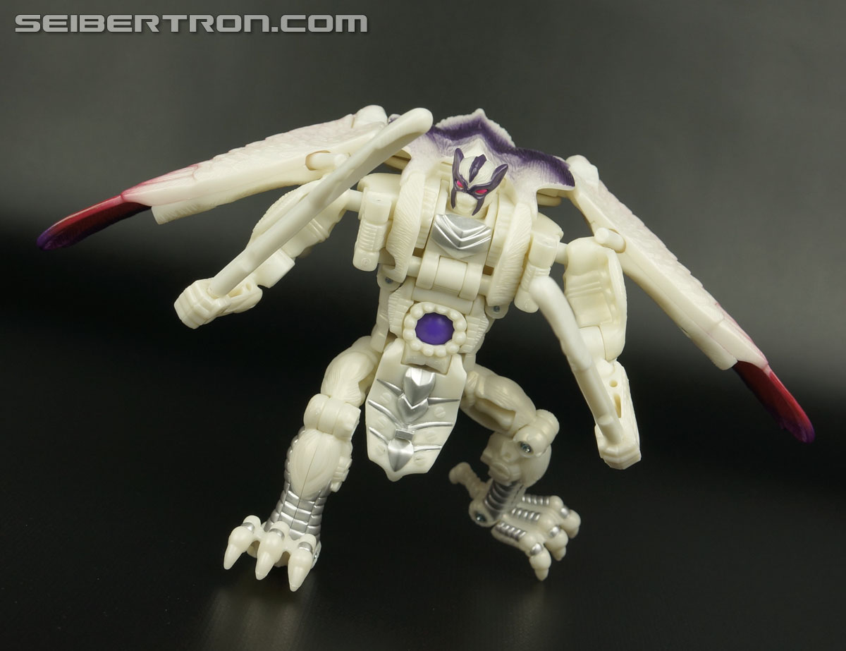 Transformers BotCon Exclusives Windrazor (Image #114 of 137)