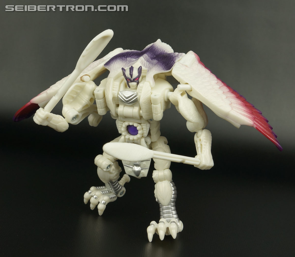 Transformers BotCon Exclusives Windrazor (Image #117 of 137)