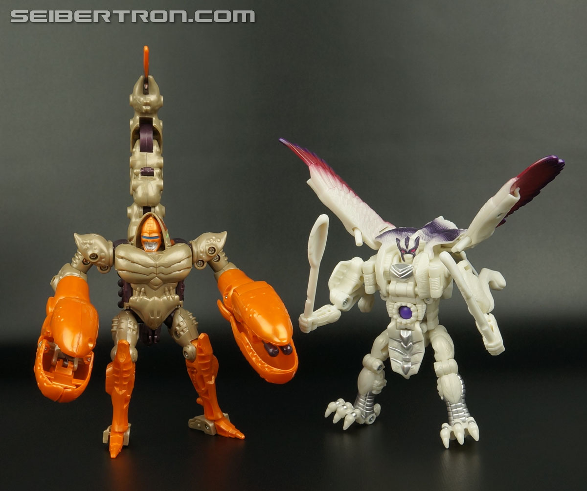 Transformers BotCon Exclusives Windrazor (Image #120 of 137)