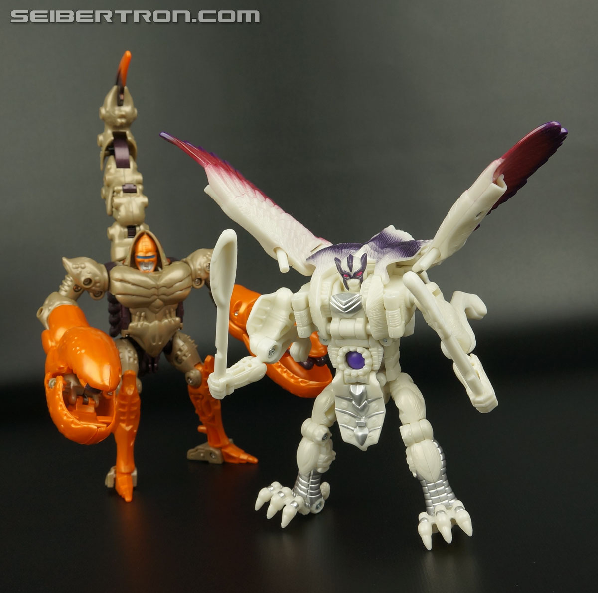 Transformers BotCon Exclusives Windrazor (Image #121 of 137)