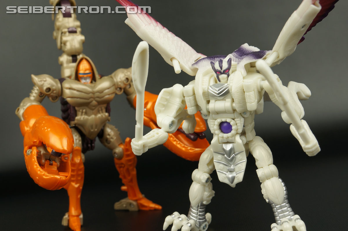Transformers BotCon Exclusives Windrazor (Image #122 of 137)