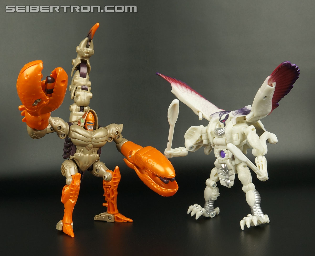 Transformers BotCon Exclusives Windrazor (Image #124 of 137)