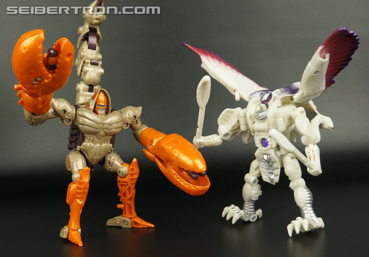 Transformers BotCon Exclusives Windrazor (Image #125 of 137)