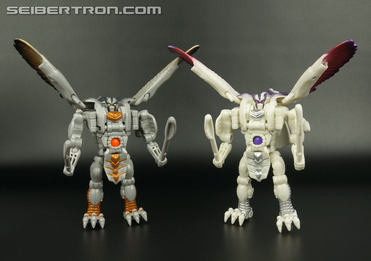 Transformers BotCon Exclusives Windrazor (Image #126 of 137)