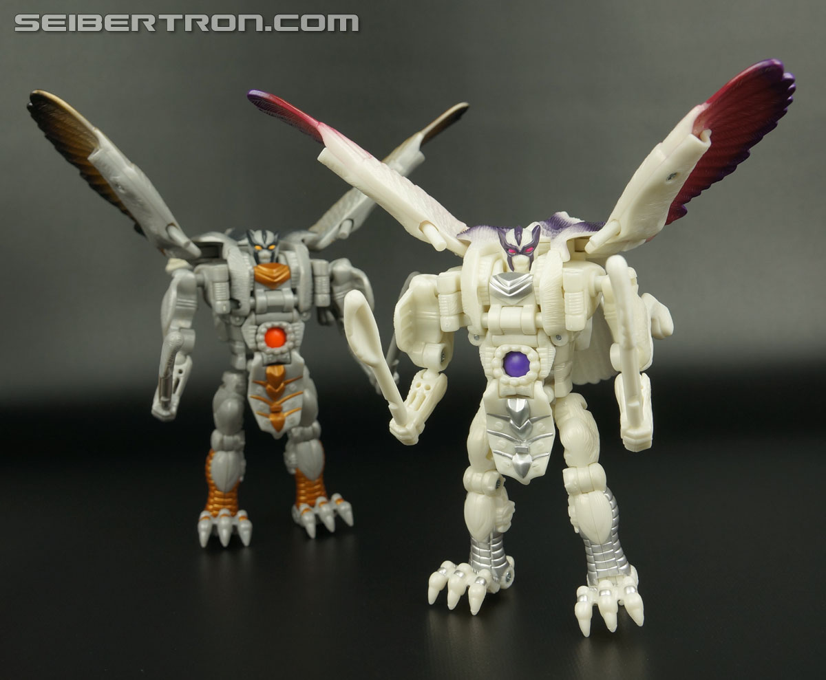 Transformers BotCon Exclusives Windrazor (Image #127 of 137)