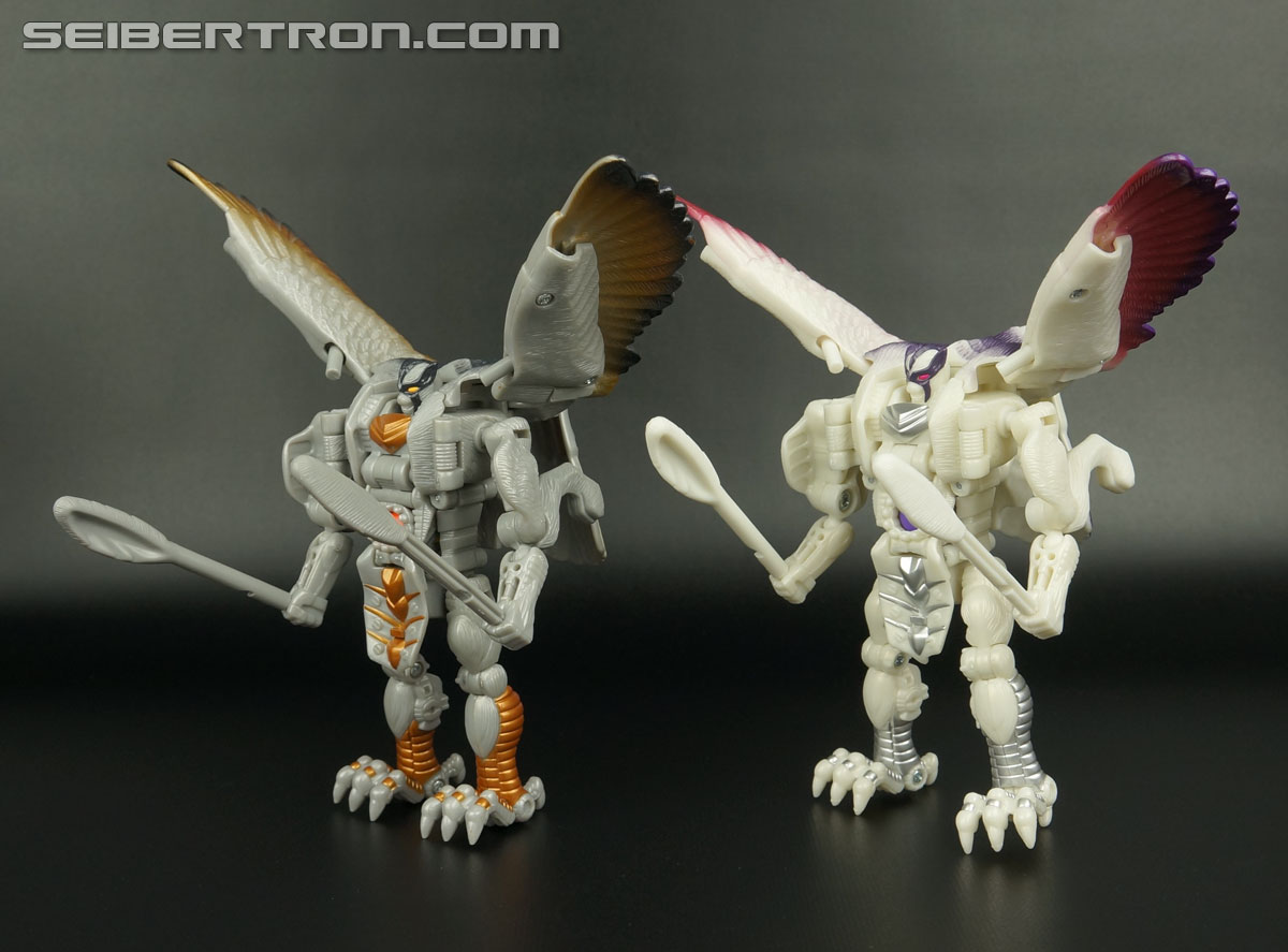 Transformers BotCon Exclusives Windrazor (Image #134 of 137)