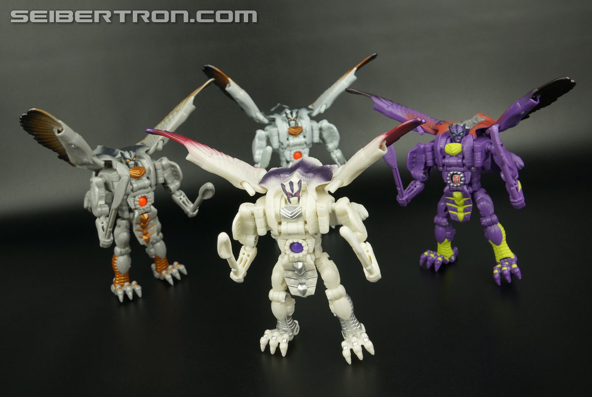 Transformers BotCon Exclusives Windrazor (Image #136 of 137)