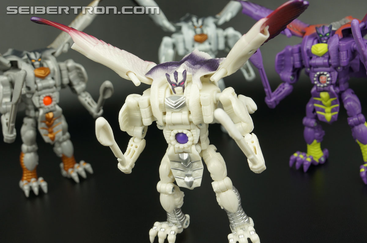 Transformers BotCon Exclusives Windrazor (Image #137 of 137)