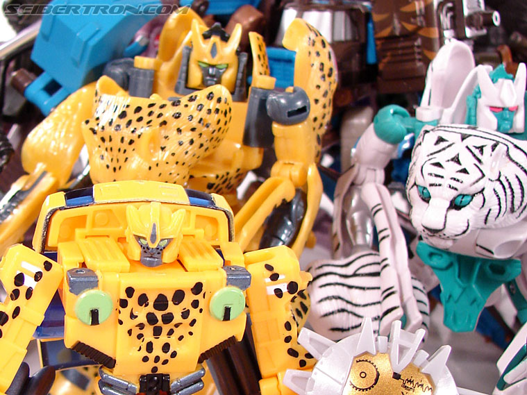 Transformers BotCon Exclusives Cheetor (Image #51 of 119)