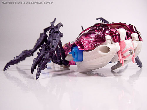 Transformers BotCon Exclusives Arcee (Image #33 of 90)