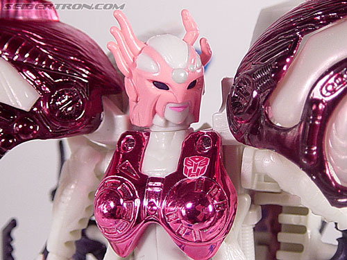 Transformers BotCon Exclusives Arcee (Image #63 of 90)