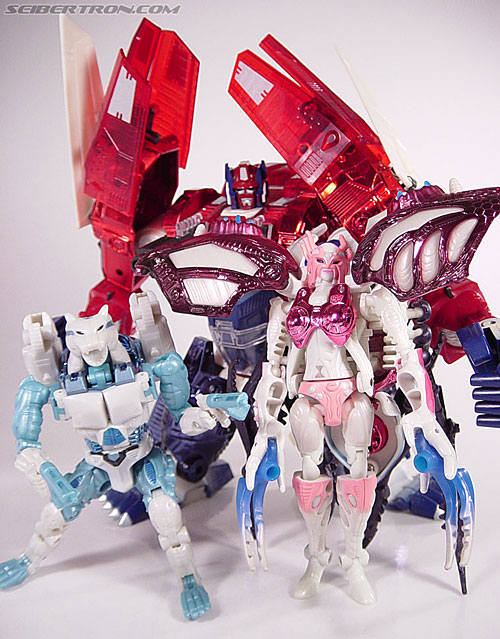 Transformers BotCon Exclusives Arcee (Image #83 of 90)
