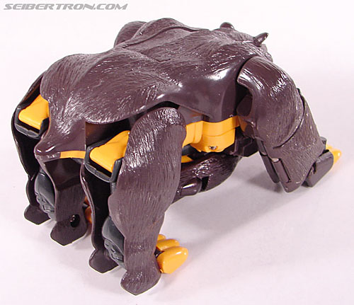 Transformers BotCon Exclusives Grizzly-1 (Barbearian) (Image #24 of 98)