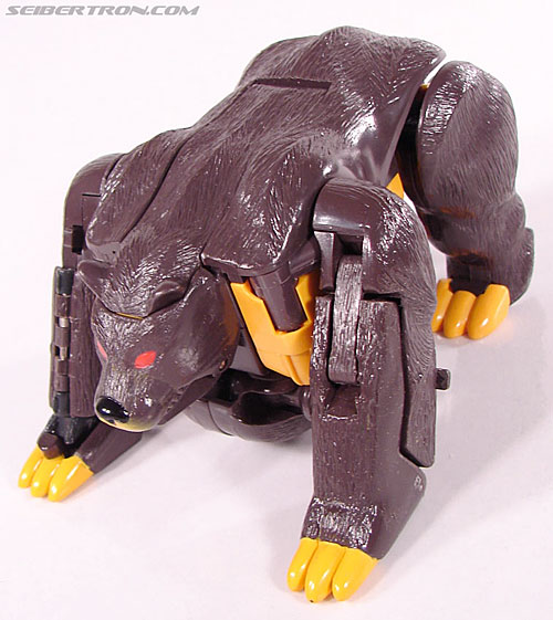 Transformers BotCon Exclusives Grizzly-1 (Barbearian) (Image #30 of 98)