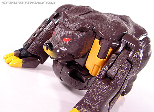 Transformers BotCon Exclusives Grizzly-1 (Barbearian) (Image #31 of 98)