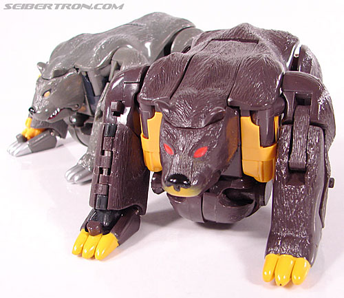 Transformers BotCon Exclusives Grizzly-1 (Barbearian) (Image #34 of 98)