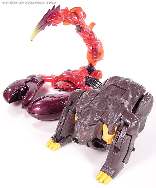 Transformers BotCon Exclusives Grizzly-1 (Barbearian) (Image #38 of 98)
