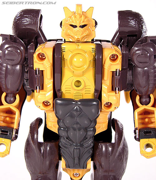 Transformers BotCon Exclusives Grizzly-1 (Barbearian) (Image #40 of 98)
