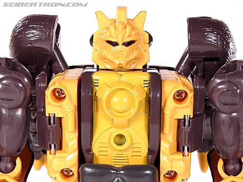 Transformers BotCon Exclusives Grizzly-1 (Barbearian) (Image #41 of 98)