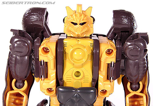 Transformers BotCon Exclusives Grizzly-1 (Barbearian) (Image #43 of 98)
