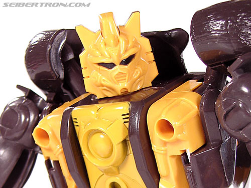 Transformers BotCon Exclusives Grizzly-1 (Barbearian) (Image #56 of 98)