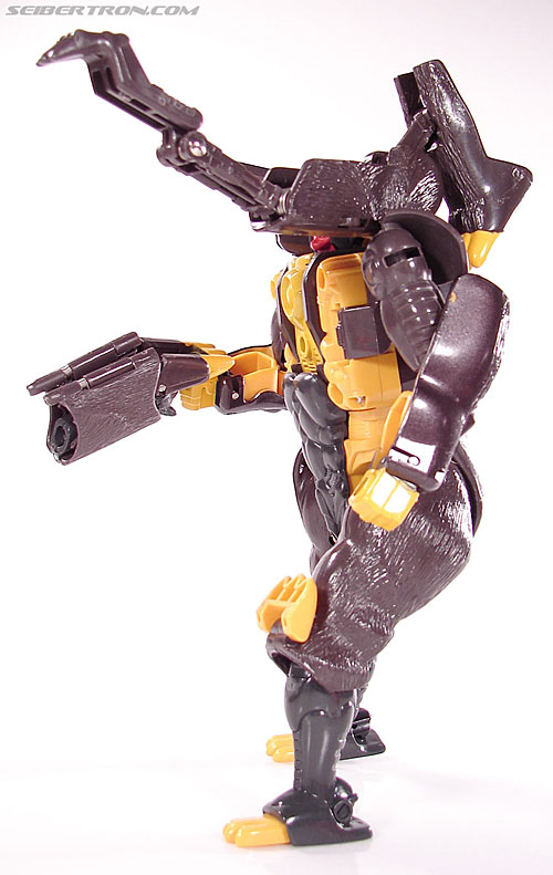 Transformers BotCon Exclusives Grizzly-1 (Barbearian) (Image #77 of 98)