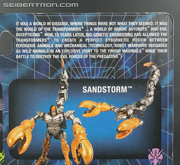 Transformers BotCon Exclusives Windrazor (Image #15 of 137)