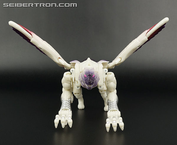 Transformers BotCon Exclusives Windrazor (Image #24 of 137)