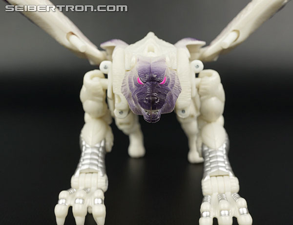Transformers BotCon Exclusives Windrazor (Image #25 of 137)