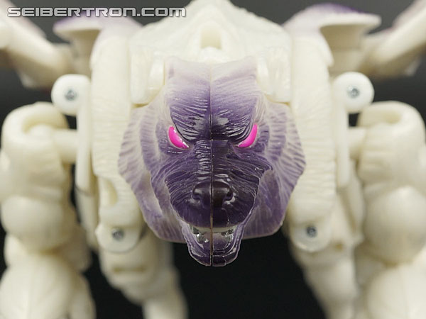 Transformers BotCon Exclusives Windrazor (Image #26 of 137)