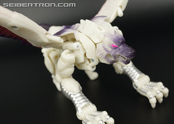 Transformers BotCon Exclusives Windrazor (Image #27 of 137)