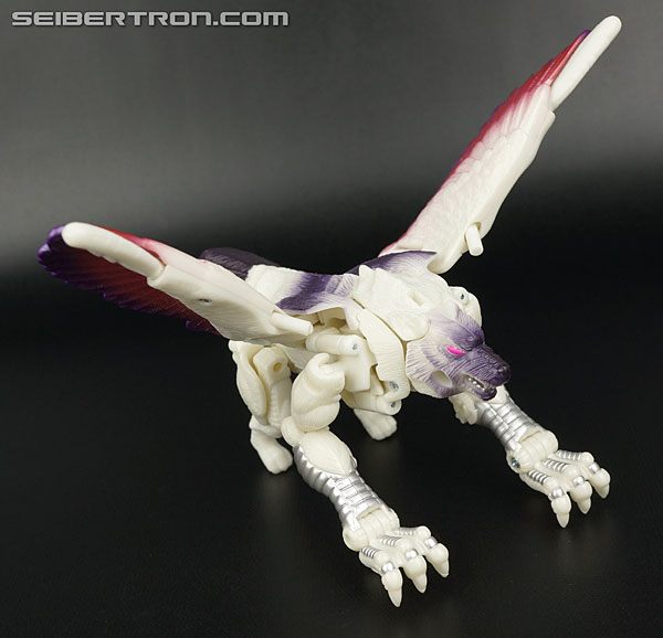 Transformers BotCon Exclusives Windrazor (Image #32 of 137)