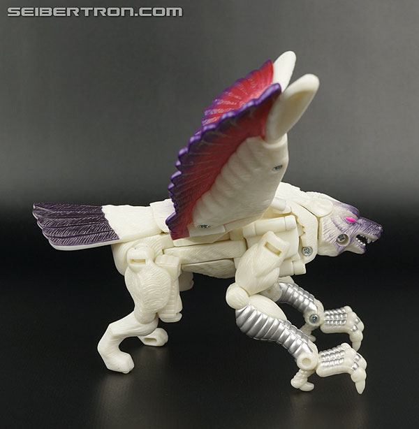 Transformers BotCon Exclusives Windrazor (Image #33 of 137)