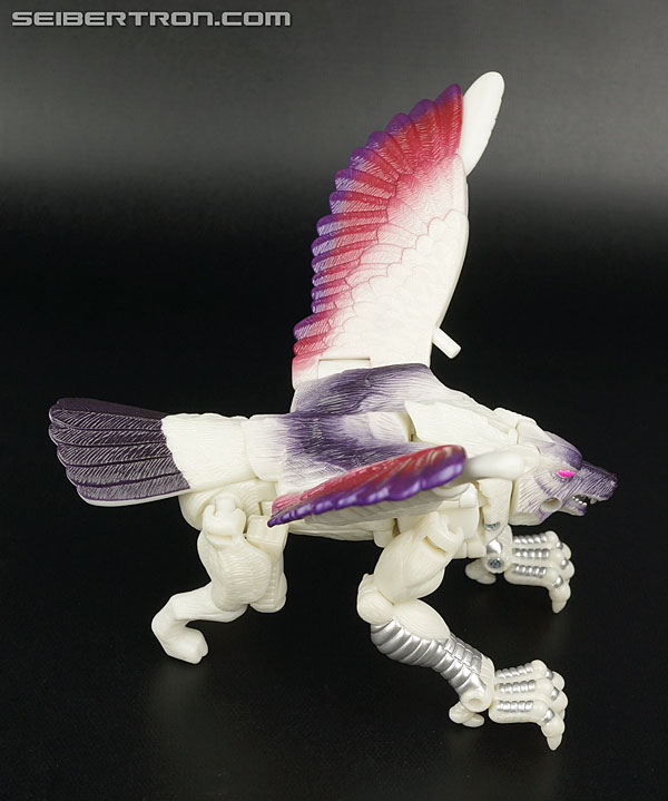 Transformers BotCon Exclusives Windrazor (Image #36 of 137)