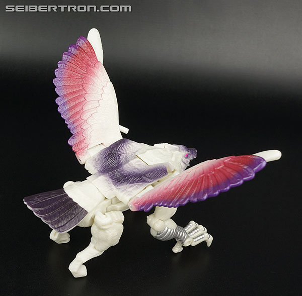 Transformers BotCon Exclusives Windrazor (Image #37 of 137)