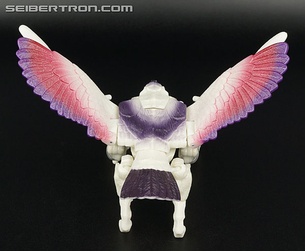Transformers BotCon Exclusives Windrazor (Image #38 of 137)