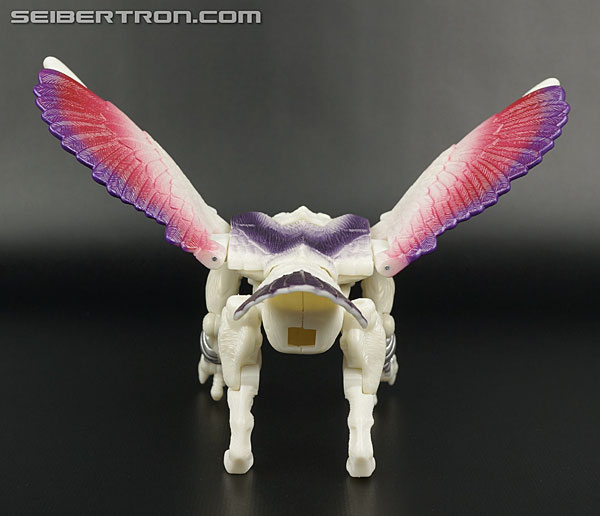 Transformers BotCon Exclusives Windrazor (Image #39 of 137)