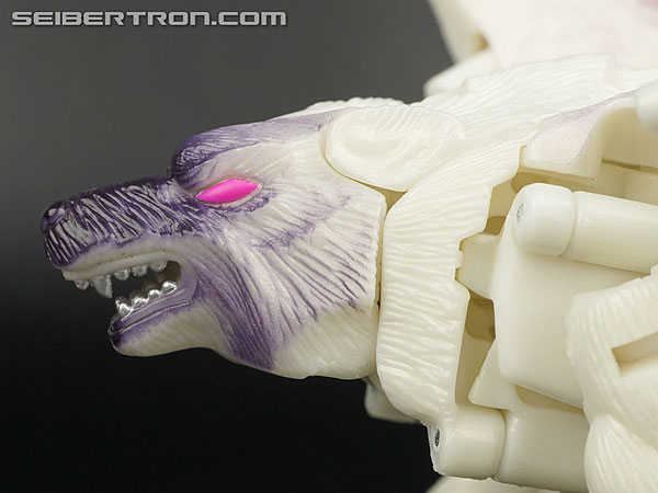 Transformers BotCon Exclusives Windrazor (Image #43 of 137)