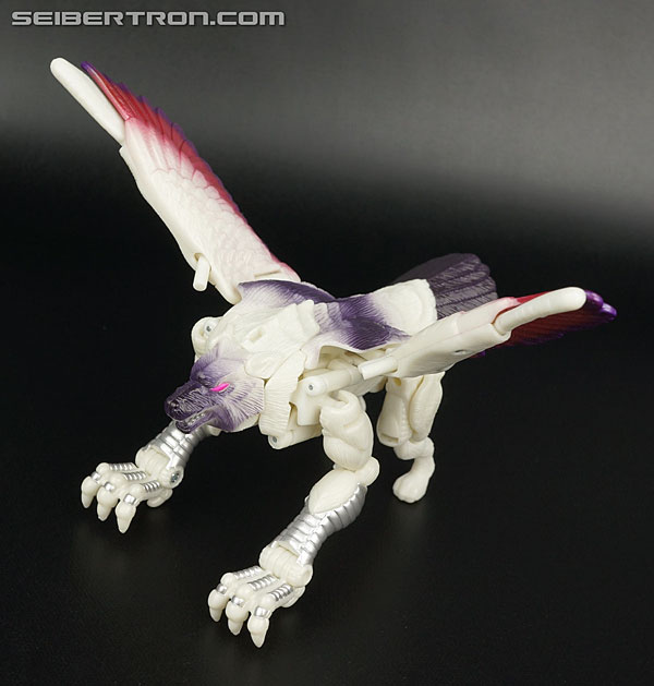 Transformers BotCon Exclusives Windrazor (Image #45 of 137)