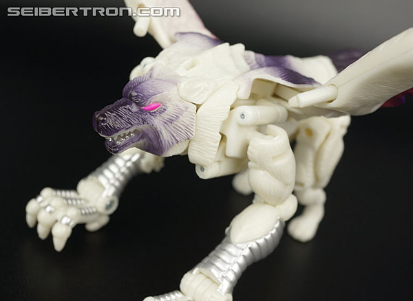 Transformers BotCon Exclusives Windrazor (Image #46 of 137)