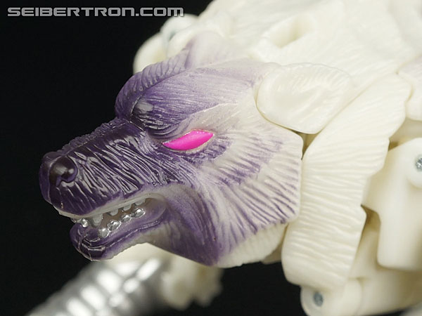 Transformers BotCon Exclusives Windrazor (Image #47 of 137)