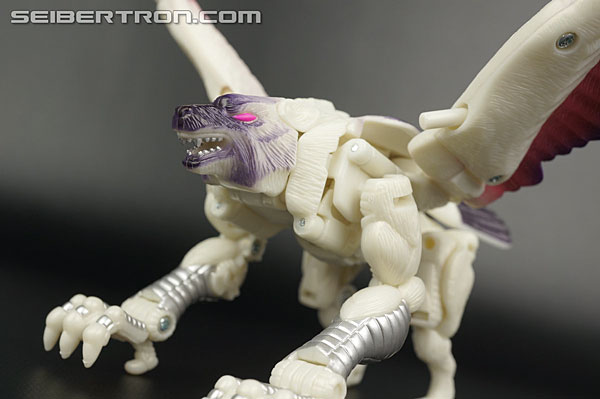 Transformers BotCon Exclusives Windrazor (Image #48 of 137)