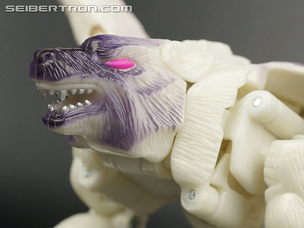 Transformers BotCon Exclusives Windrazor (Image #49 of 137)