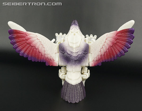 Transformers BotCon Exclusives Windrazor (Image #51 of 137)