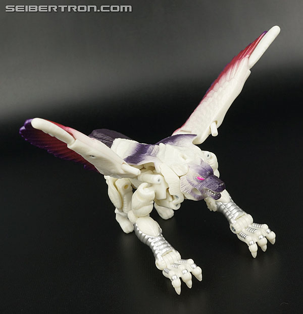 Transformers BotCon Exclusives Windrazor (Image #52 of 137)