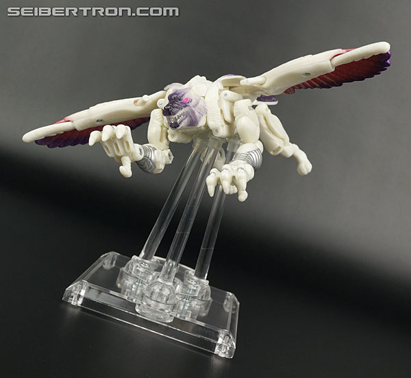 Transformers BotCon Exclusives Windrazor (Image #54 of 137)